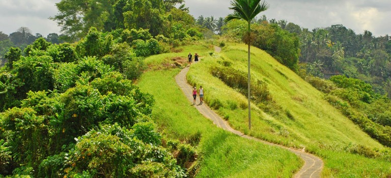 منطقه ابود بالی | UBUD Bali