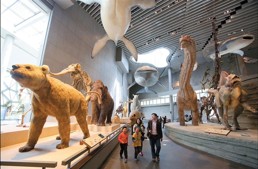 موزه تاریخ طبیعی شهر شانگهای