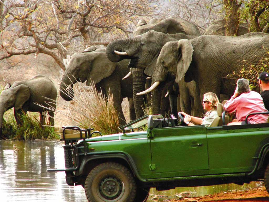Photo of پارک ملّی کروگر آفریقای جنوبی | Kruger National Park