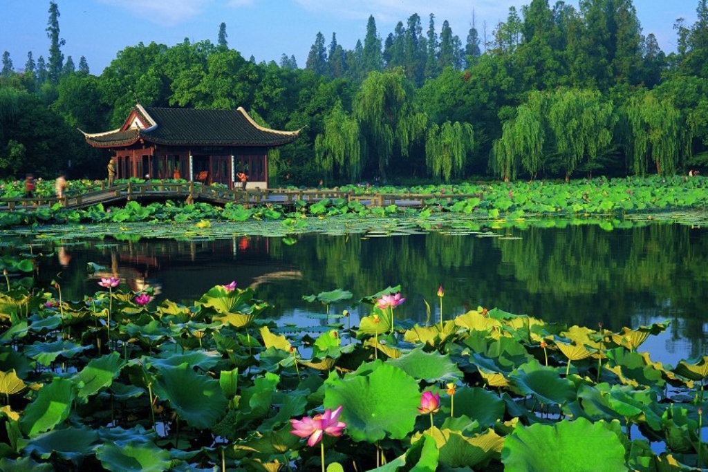 Photo of دریاچه غربی هانگزو چین | West Lake in Hangzhou
