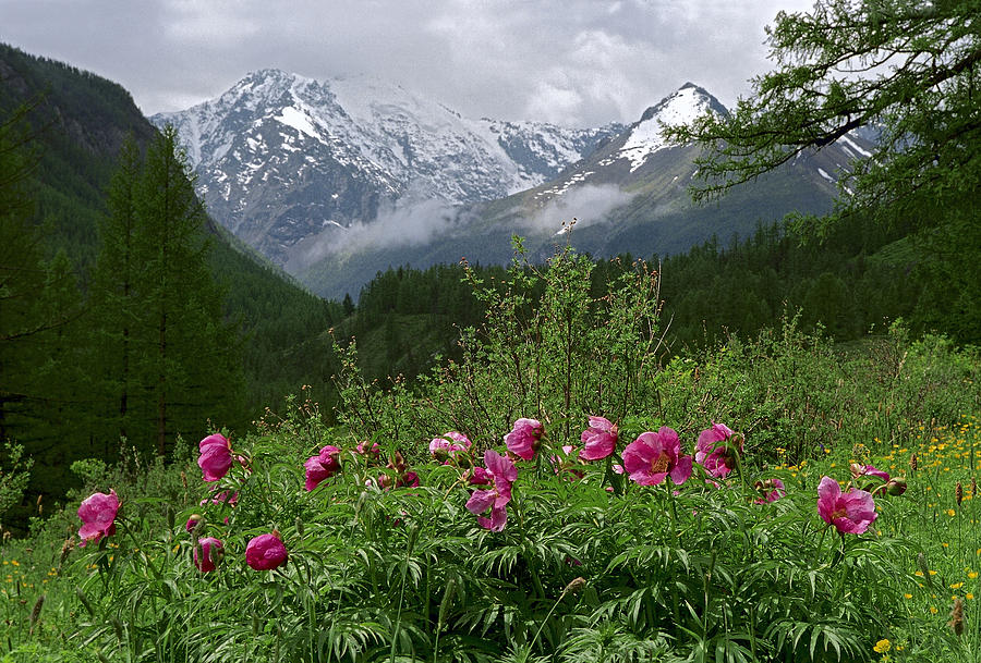 طبیعت گردی در قزاقستان