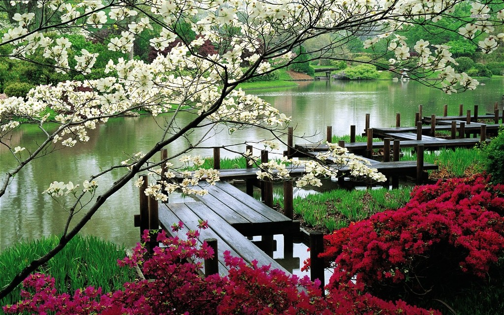 باغ های ژاپنی