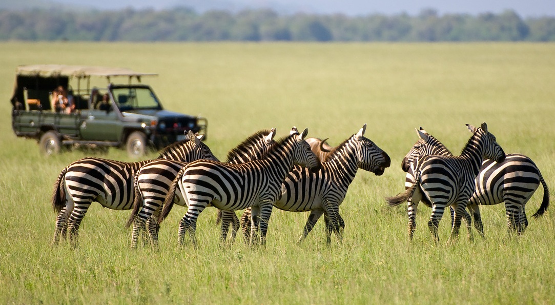 تور حیات وحش کنیا
