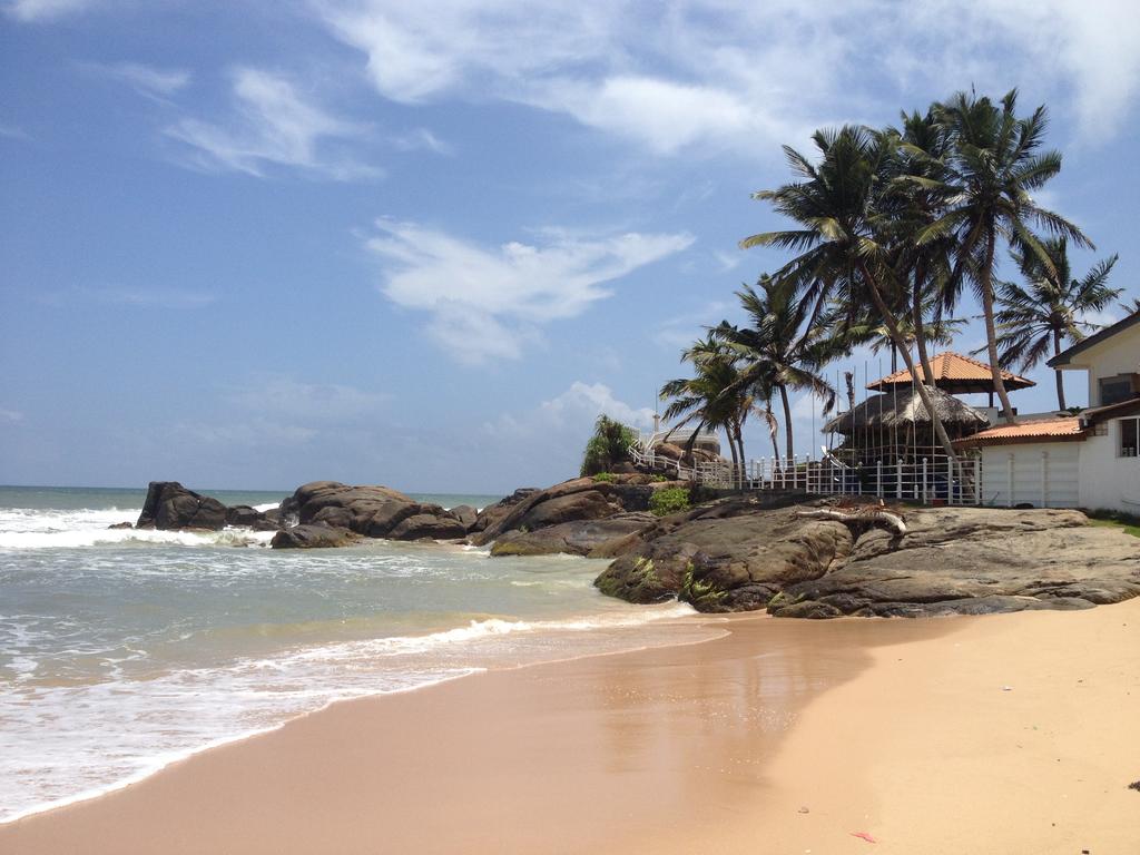 ساحل زیبای هتل ریو