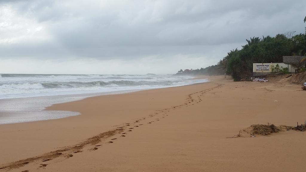 ساحل بروولا