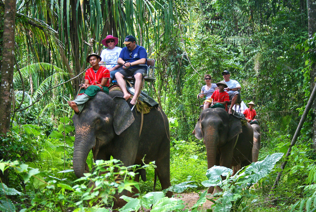 فیل سواری در پیناوالا