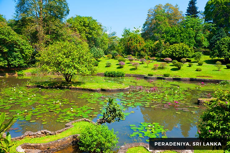 باغ گیاهشناسی کندی سریلانکا