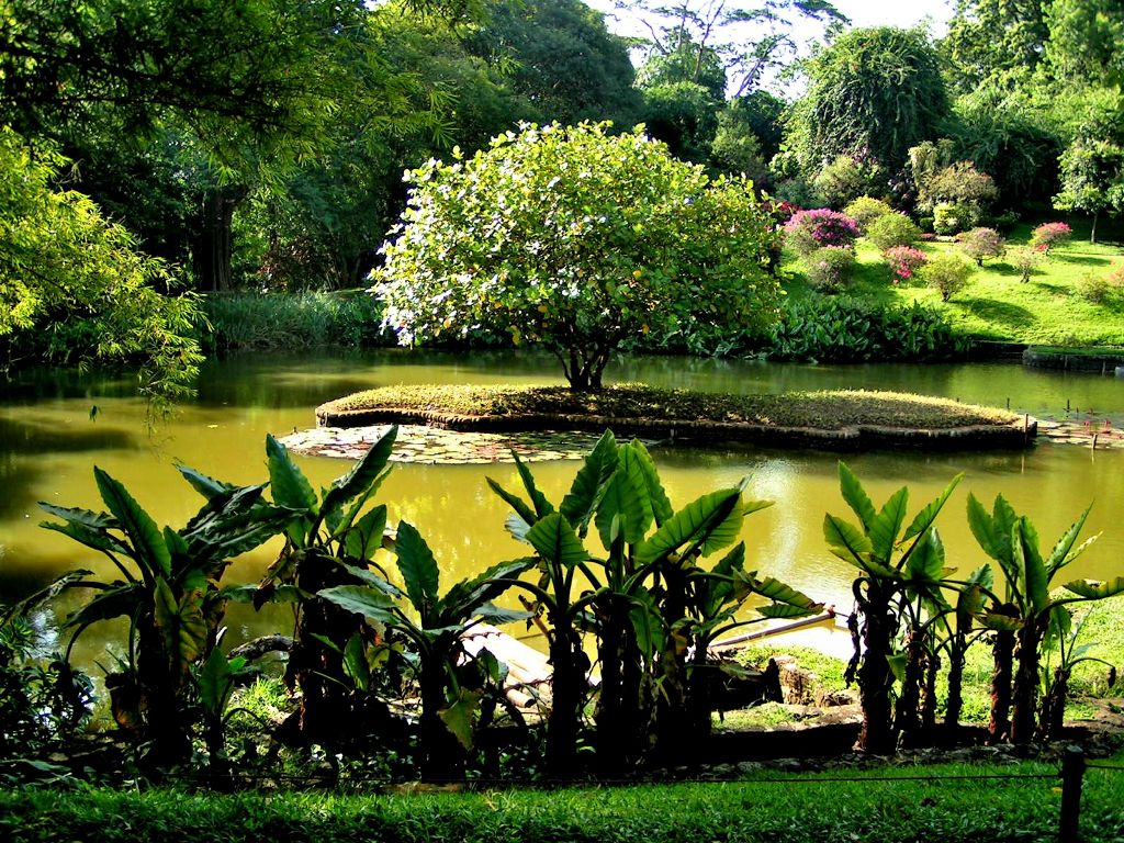باغ گیاه شناسی کندی سریلانکا