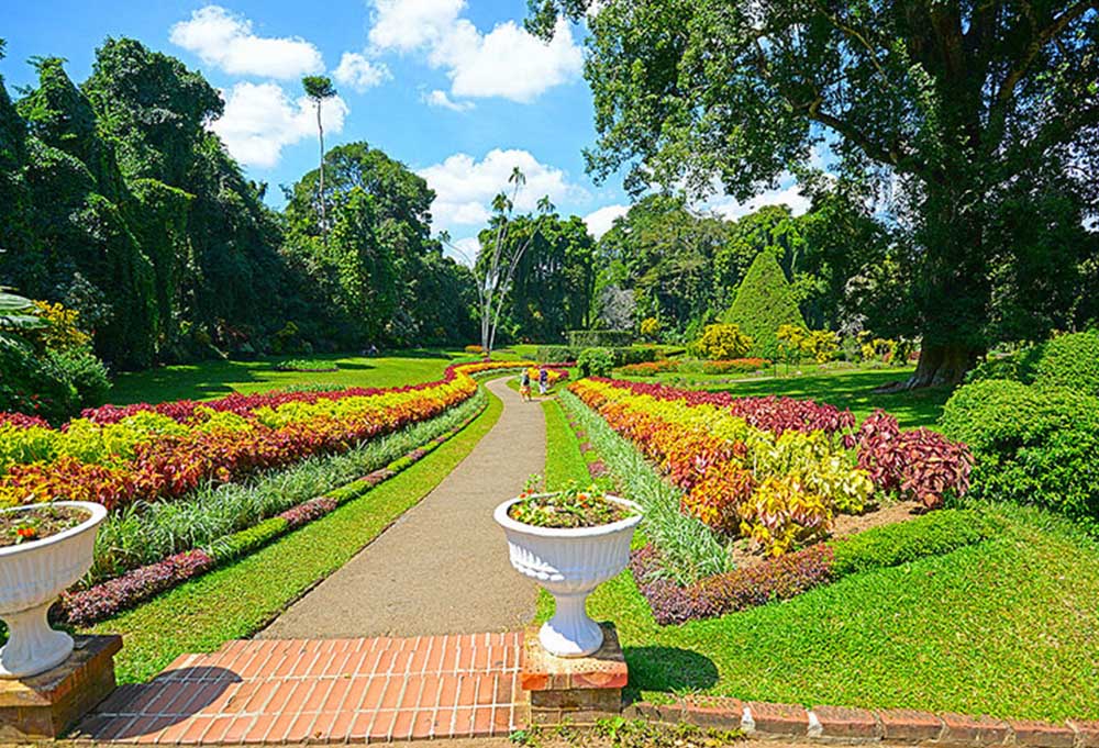باغ گیاه شناسی کندی سریلانکا