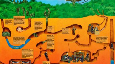 Photo of تونل های کوچی سایگون ویتنام ارگ اسرار آمیز زیر زمینی ویت کنگ ها