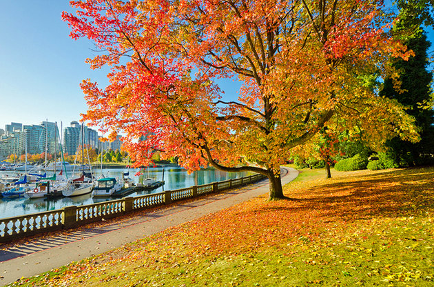 استنلی پارک بریتیش کلمبا ونکوور کانادا