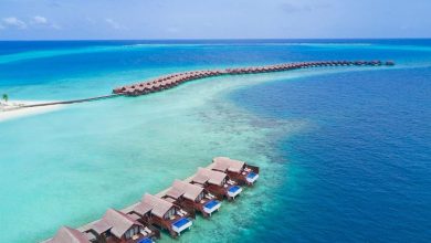 Photo of هتل گرند پارک مالدیو – پنج ستاره – تجمل ، سادگی ، زیبایی و قیمتی مناسب