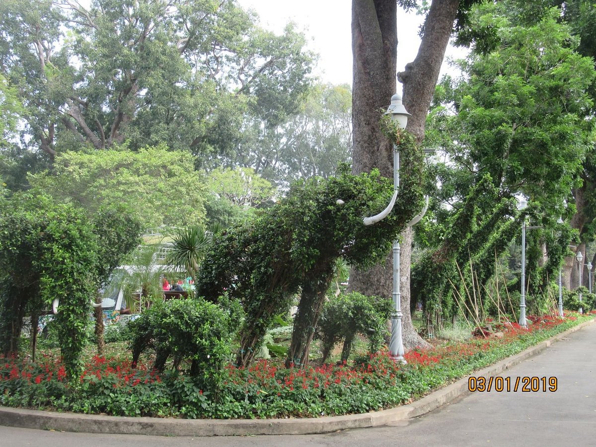فضای سبز در باغ سایگون