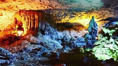 Photo of غار سونگ سوت شاهکار طبیعت در قلب عجایب طبیعی جهان| طبیعت ویتنام