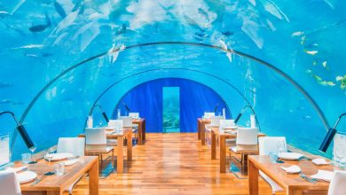 Photo of رستوران ایتا در زیر سطح آب با مرجان های درخشان جزیره رانگالی| طبیعت مالدیو