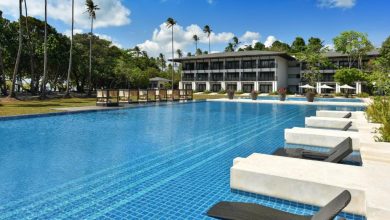 Photo of هتل سدا لیو پنج ستاره ای راحت و شیک| اطلاعات کامل| هتل های فیلیپین