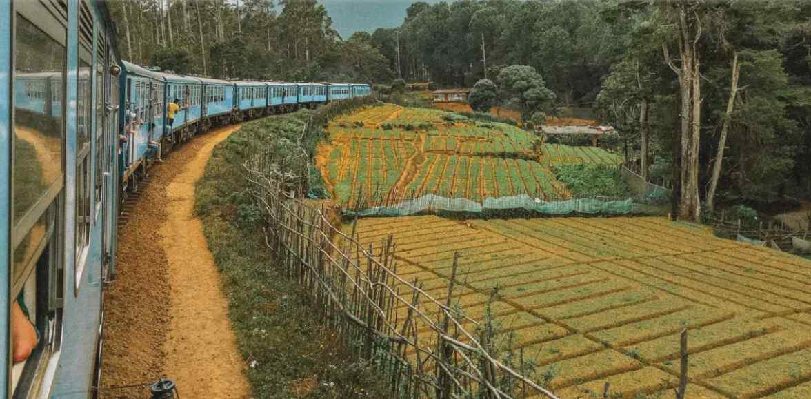 مزارع سریلانکا
