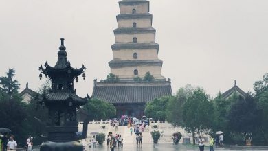 Photo of معبد غاز وحشی ساختمانی به عنوان نماد باستانی شیان| جاذبه های چین