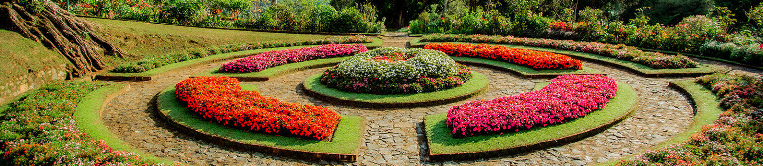 باغ های سریلانکا