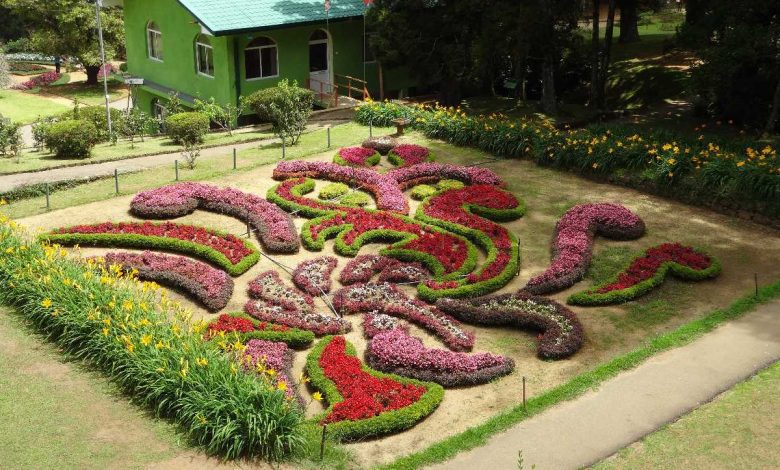 Photo of باغ گیاه شناسی هاک گالا دومین باغ گیاه شناسی بزرگ سریلانکا |Nuwara Eliya