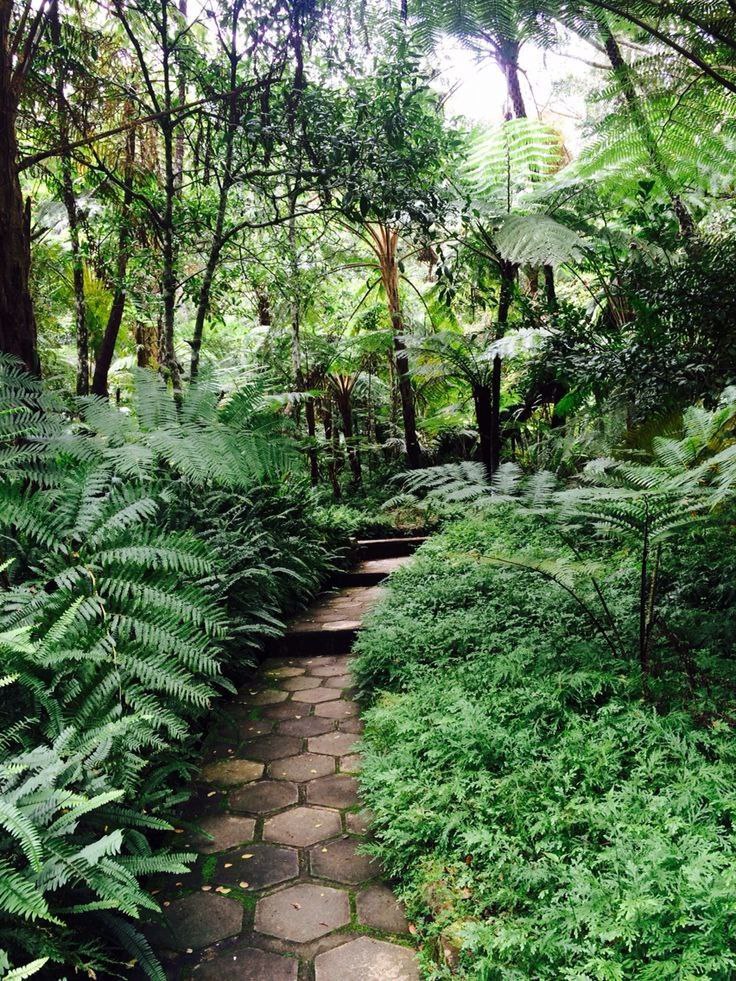 باغ های سریلانکا