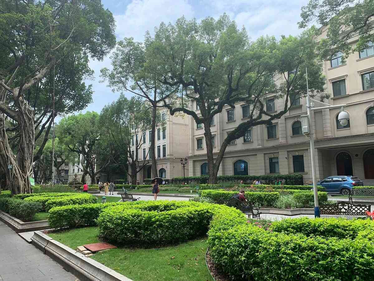 دیدنی های جزیره شامیان