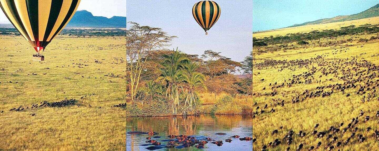 پارک های ملی تانزانیا