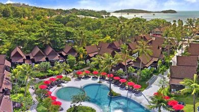 Photo of هتل آماری ساموئی دارای چه فضایی می باشد؟ |هتل های تایلند
