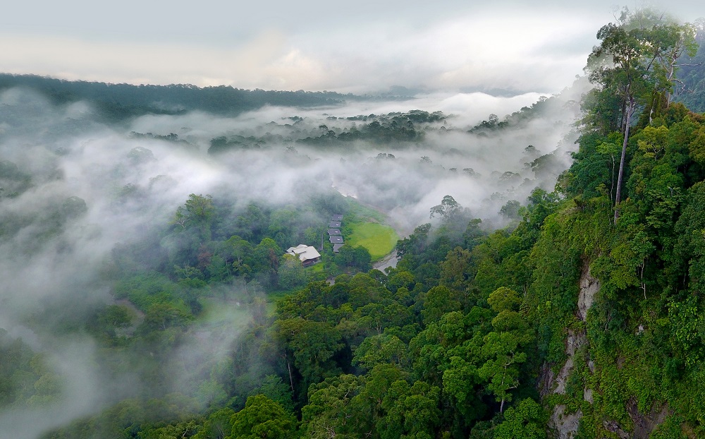 بکرترین و دست نخورده ترین جنگل آسیا