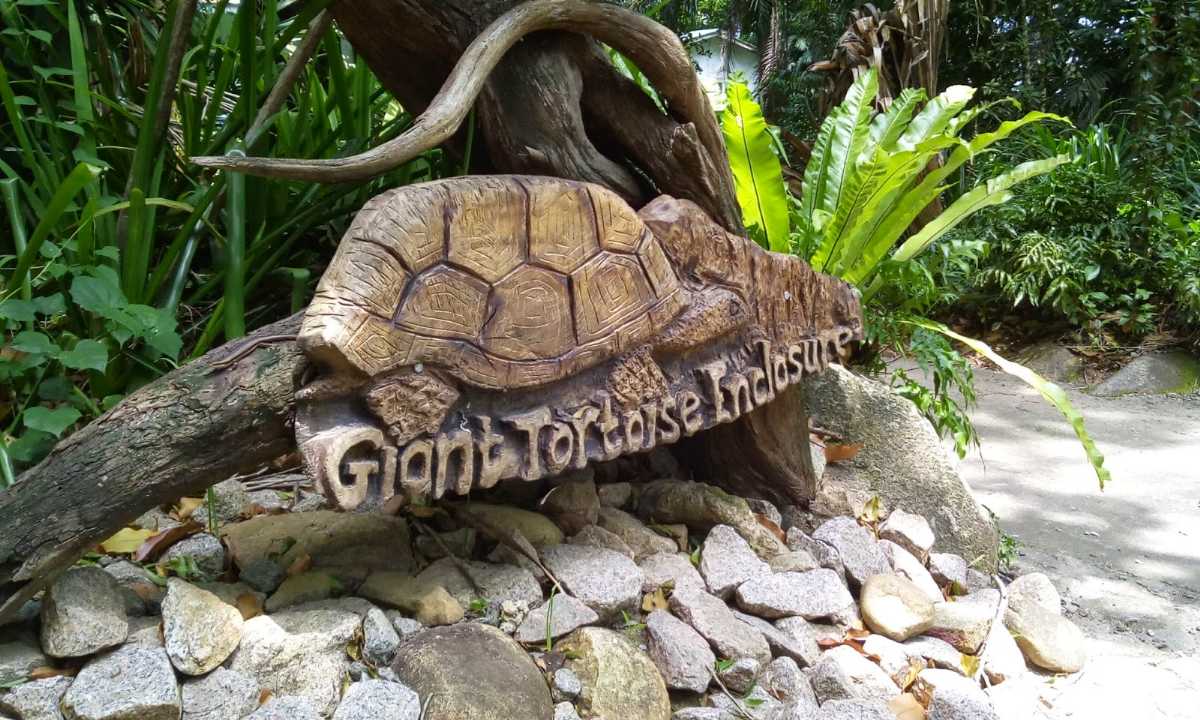 مرکز نگهداری لاک پشت ها در باغ