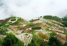 Photo of مزارع برنج گویلین | لونگجی، جین‌کنگ یائو، پینگ‌آن ژوانگ | دیدنی های چین