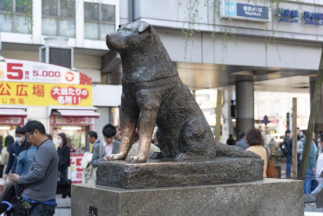 مجسمه برنزی هاچیکو