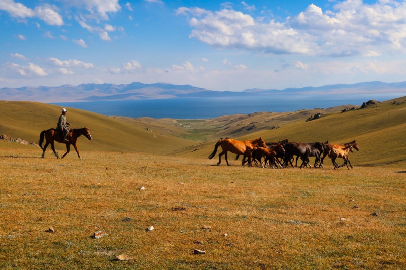 قرقیزستان