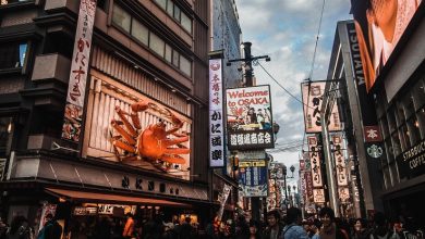Photo of دوتنبوری اوساکا ، ۱۰ جاذبه ی برتر در این منطقه تفریحی تاریخی | دیدنی های ژاپن