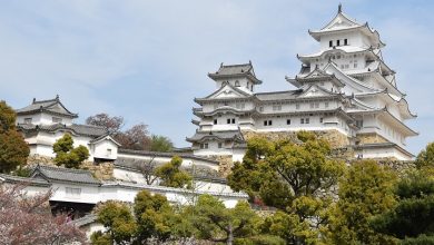 Photo of قلعه های ژاپن | ۵ تا از  باور نکردنی ترین قلعه های معروف ژاپن |دیدنی های ژاپن
