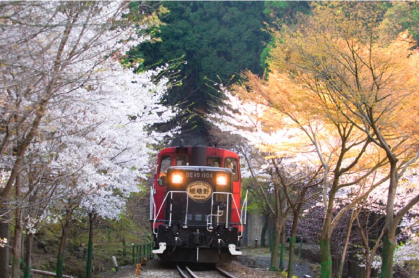 قطار sagano ژاپن