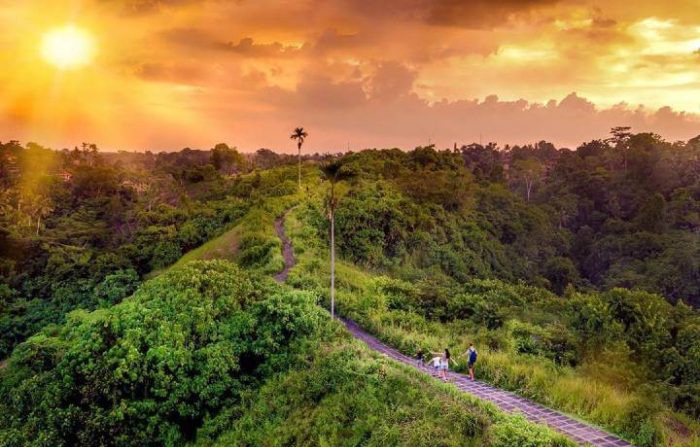 Photo of مسیر پیاده روی کامپوهان اوبود ، راهنمایی جامع از این مسیر زیبا در بالی