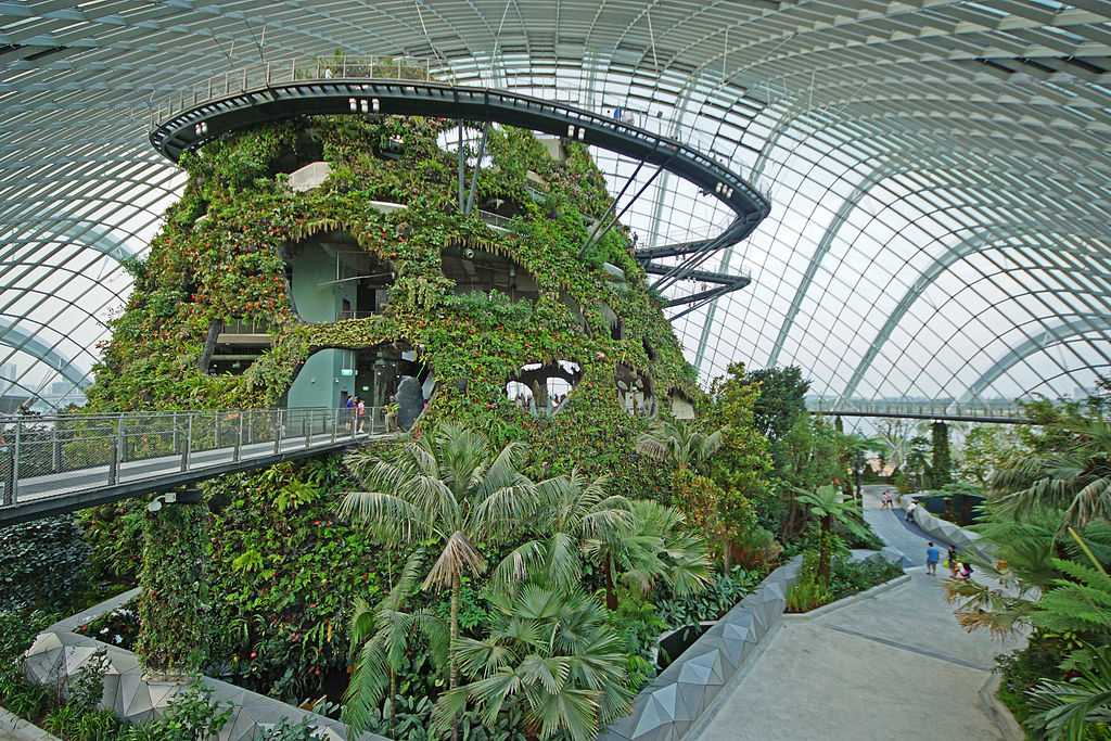 The Cloud Forest Dome