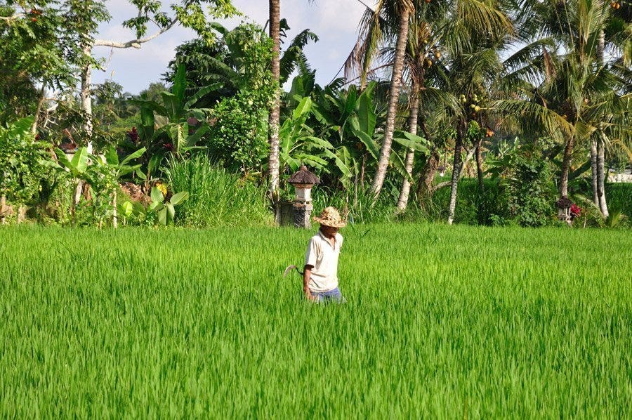 alrededores ubud