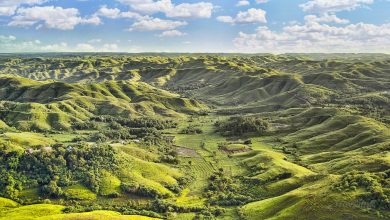 Photo of تپه های معروف سومبا اندونزی – ۷ تا از ساواناهای مشهور با منظره رویایی