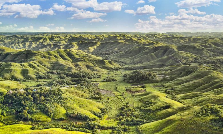 Photo of تپه های معروف سومبا اندونزی – ۷ تا از ساواناهای مشهور با منظره رویایی