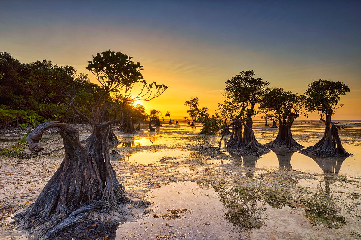 walakiri beach