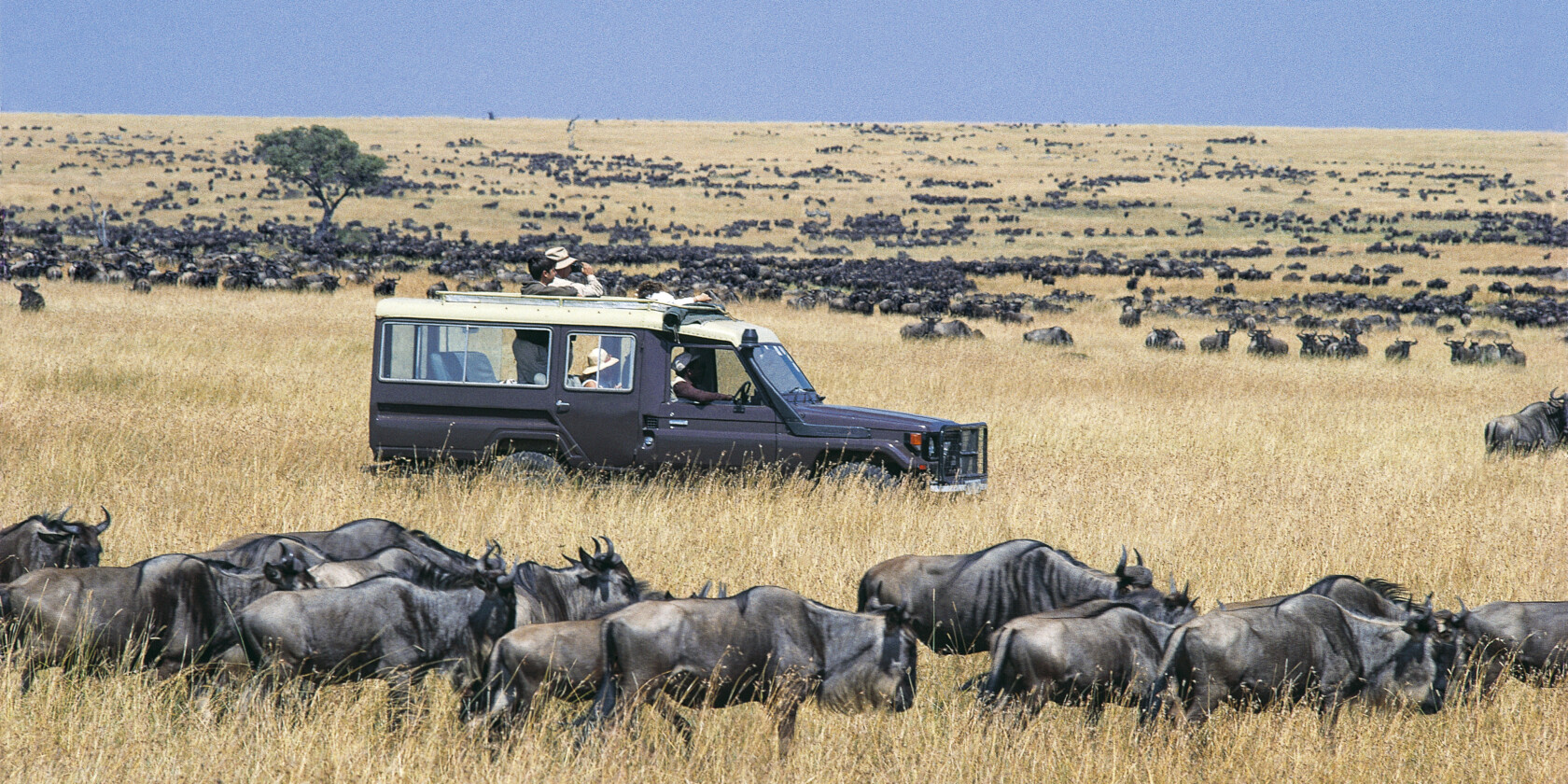 Kenya nature