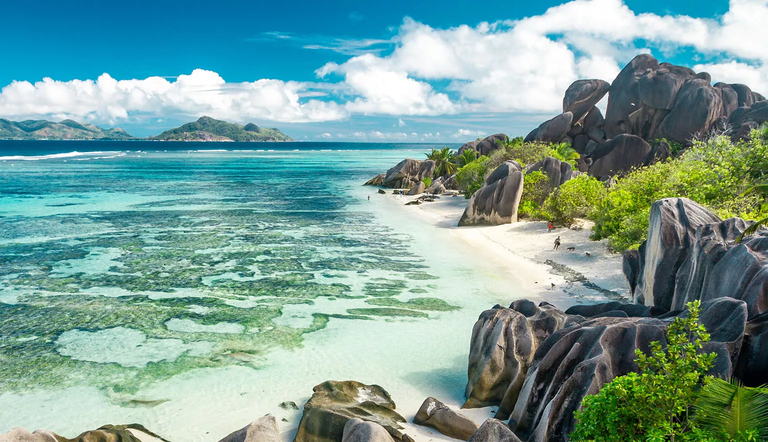 Seychelles nature