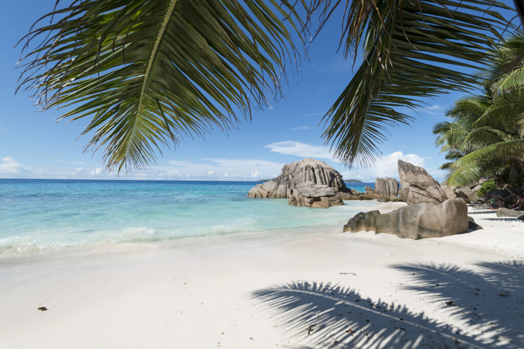 Seychelles nature