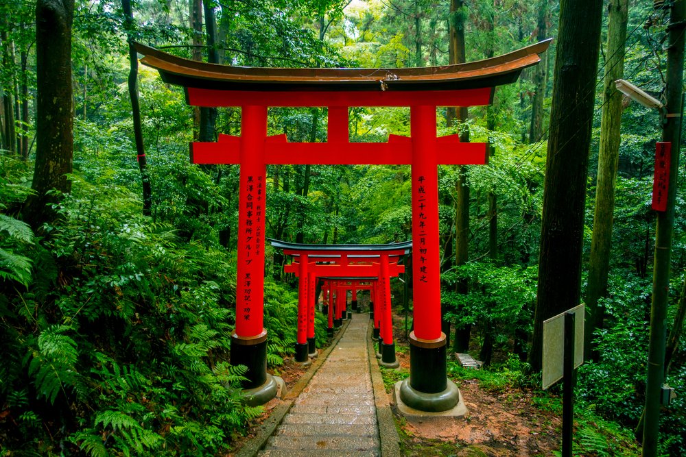 Red Tori Gate