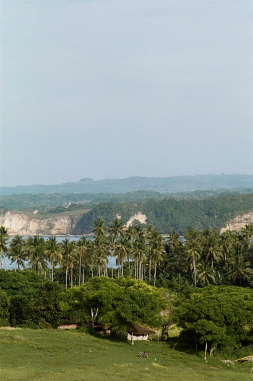 the sanubari