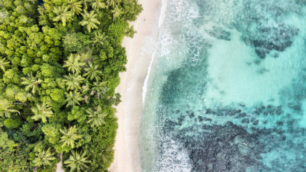 seychelles