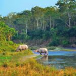 Chitwan National Park