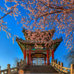 Summer-Palace